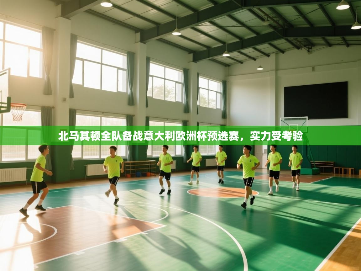 北马其顿全队备战意大利欧洲杯预选赛，实力受考验  第1张