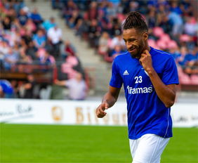 开云体育官网登入-弗赖堡主场失利，战绩受挫影响联赛排名