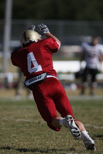 开云体育在线入口-汉堡教练团队集体辞职，球队陷入领导危机，汉堡俱乐部老板