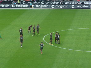 开yun体育官网-汉堡自由人连胜不停积分榜升至前列，2021汉堡人200