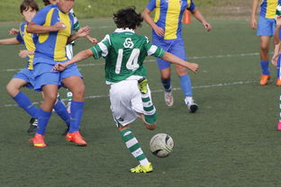 开yun体育官网入口登录体育-葡萄牙逆转立陶宛，领跑积分排名仍稳居第一，欧预赛葡萄牙vs立陶宛回放